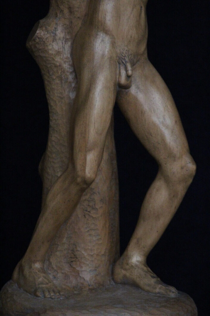 San Sebastian - Galo Conesa